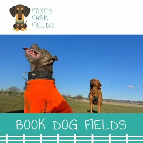 Foxes Farm Fields booking card: two dogs in a private field, one in an orange coat, book a dog field